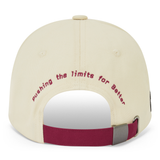 NEW Toyota GAZOO Cap